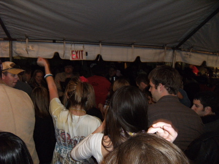 Picture 353