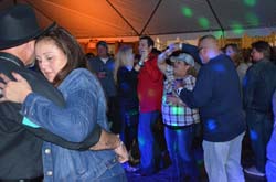 DSC_0232 (2)