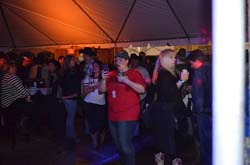 DSC_0248 (2)