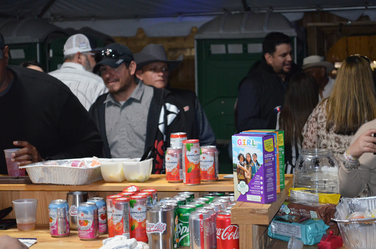 DSC_0196 (2)
