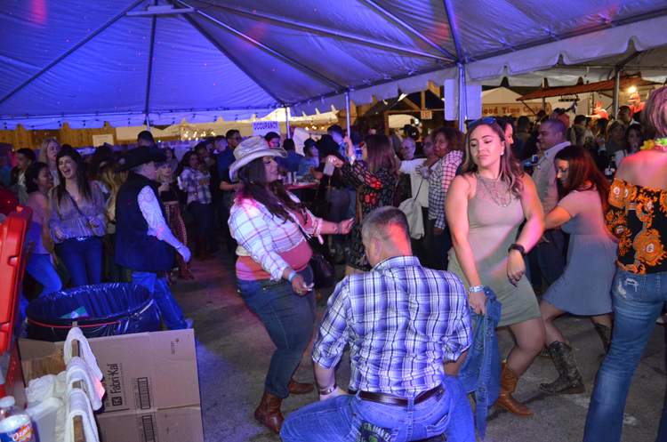 DSC_0209 (2)