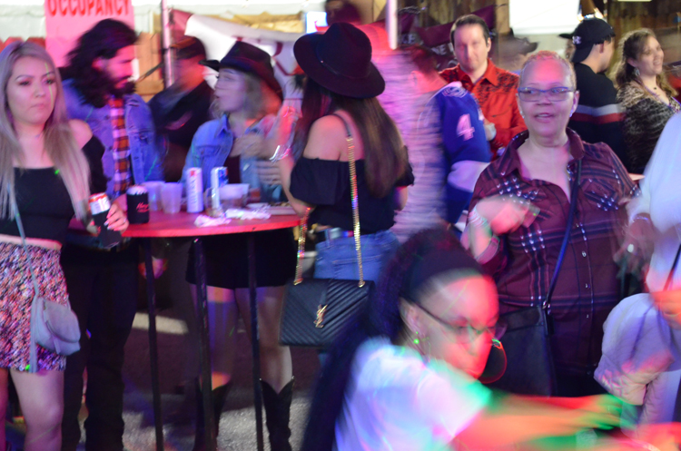 DSC_0223 (2)