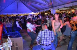 DSC_0209 (2)