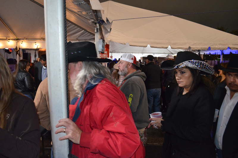 DSC_0187 (2)