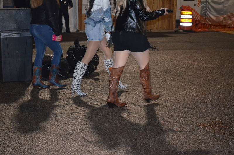 DSC_0342