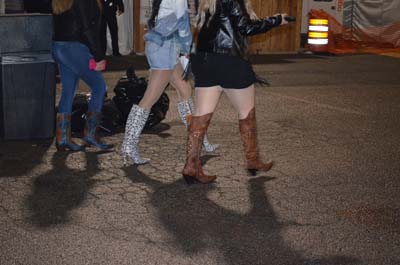 DSC_0342