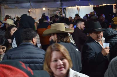 DSC_0350 (2)