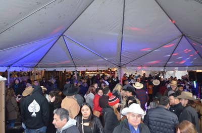 DSC_0354 (2)