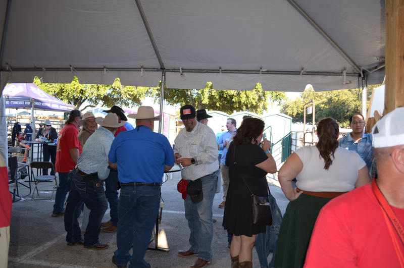 DSC_0088 (2)