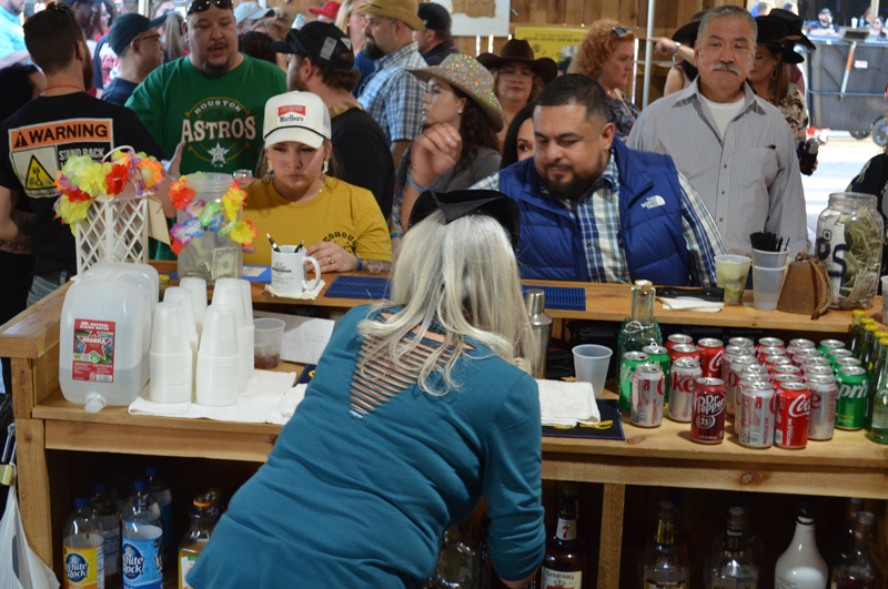 DSC_0225 (2)