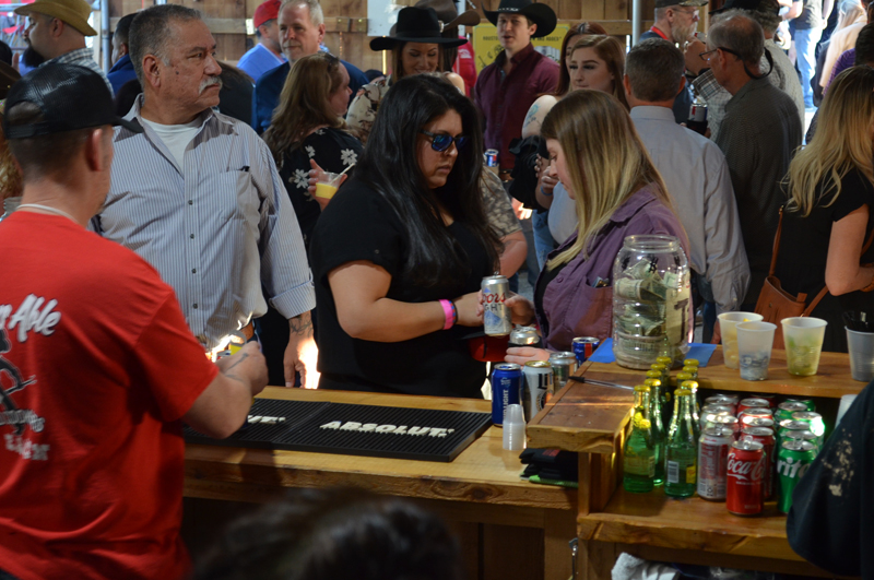 DSC_0230 (2)