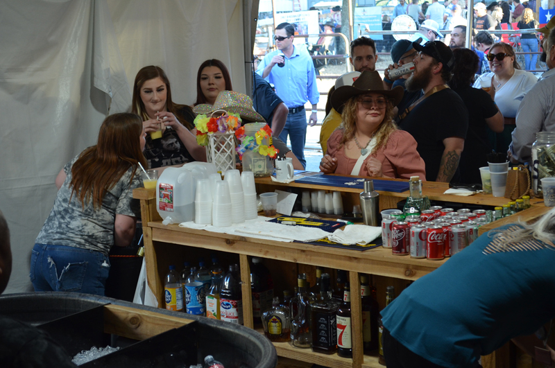 DSC_0235 (2)