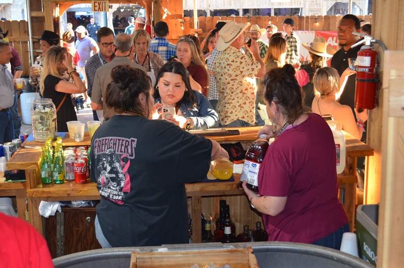 DSC_0251 (2)