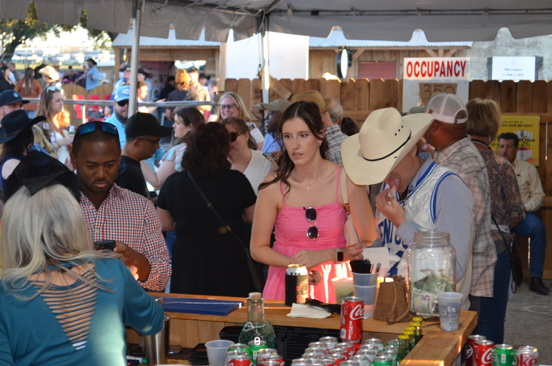 DSC_0287 (2)