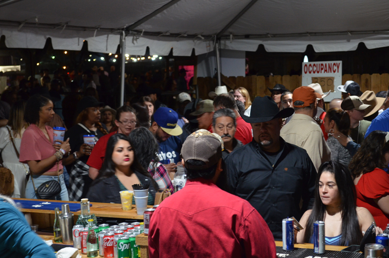 DSC_0292 (2)