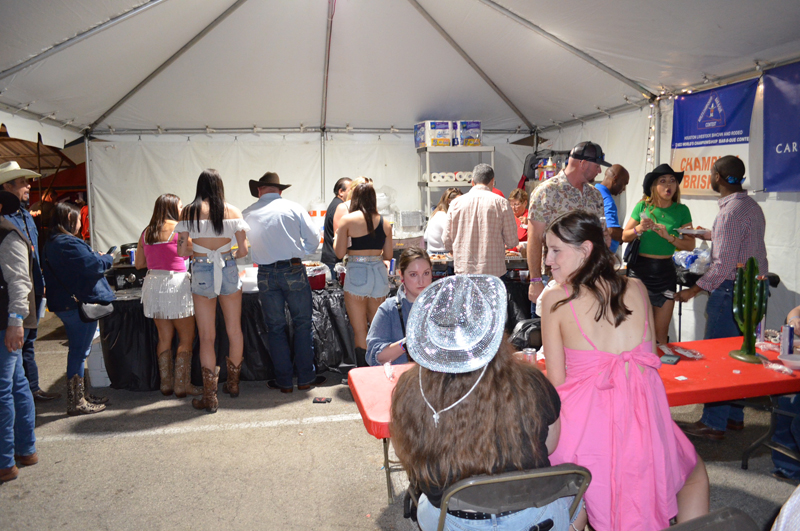 DSC_0303 (2)
