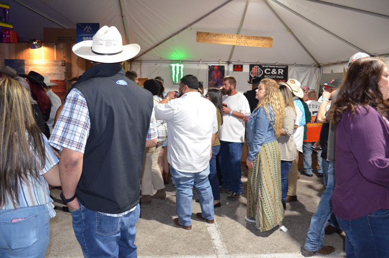 DSC_0347 (2)