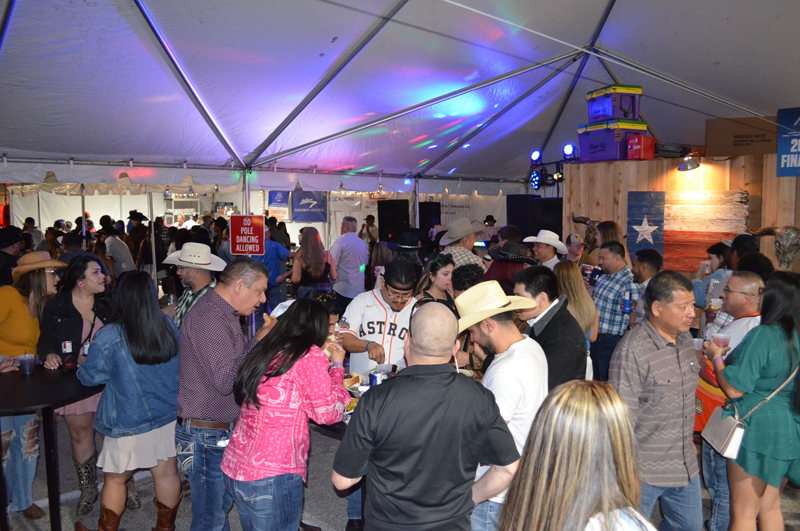 DSC_0355 (2)