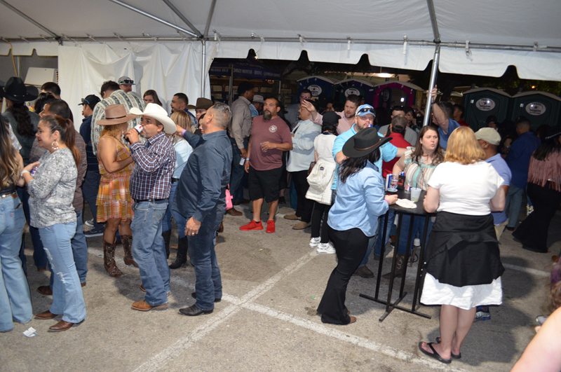 DSC_0358 (2)