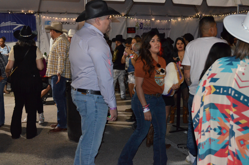 DSC_0377 (2)