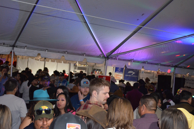 DSC_0386 (2)
