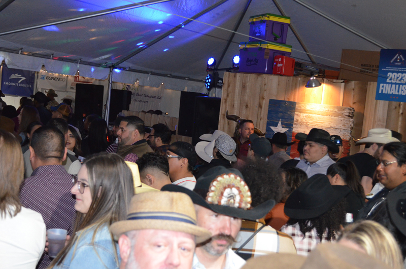 DSC_0387 (2)