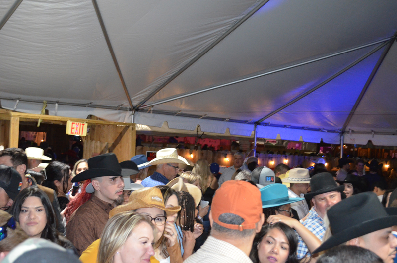 DSC_0395 (2)