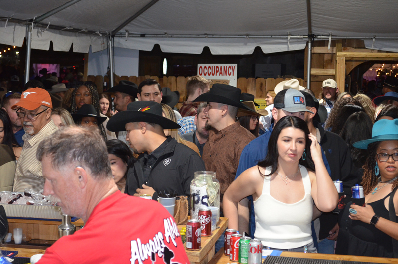 DSC_0410 (2)