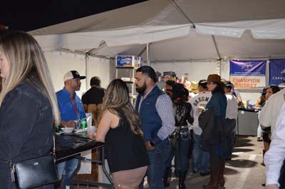 DSC_0331 (2)