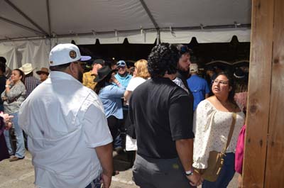DSC_0345 (2)