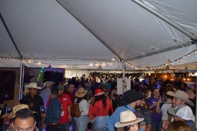DSC_0348