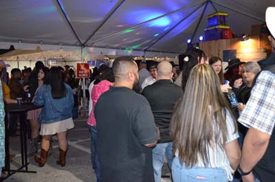 DSC_0349 (2)