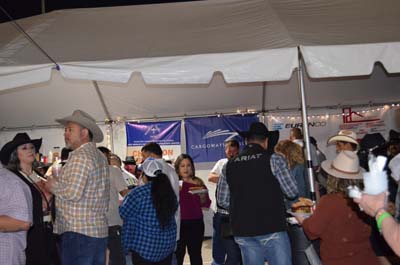 DSC_0381 (2)