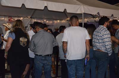 DSC_0382 (2)