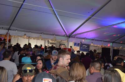 DSC_0386 (2)